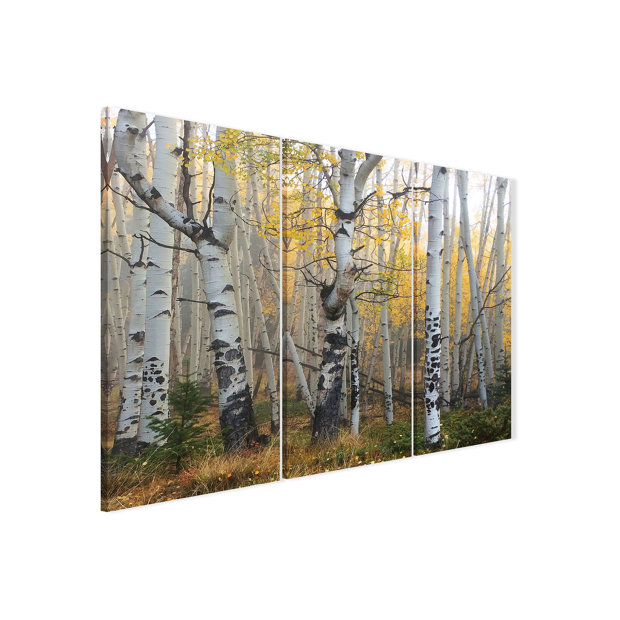Personal-Prints Misty Morning Wall Art - 3 piece Wrapped Canvas, None