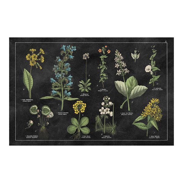 FlorArt Botanical Floral Mat