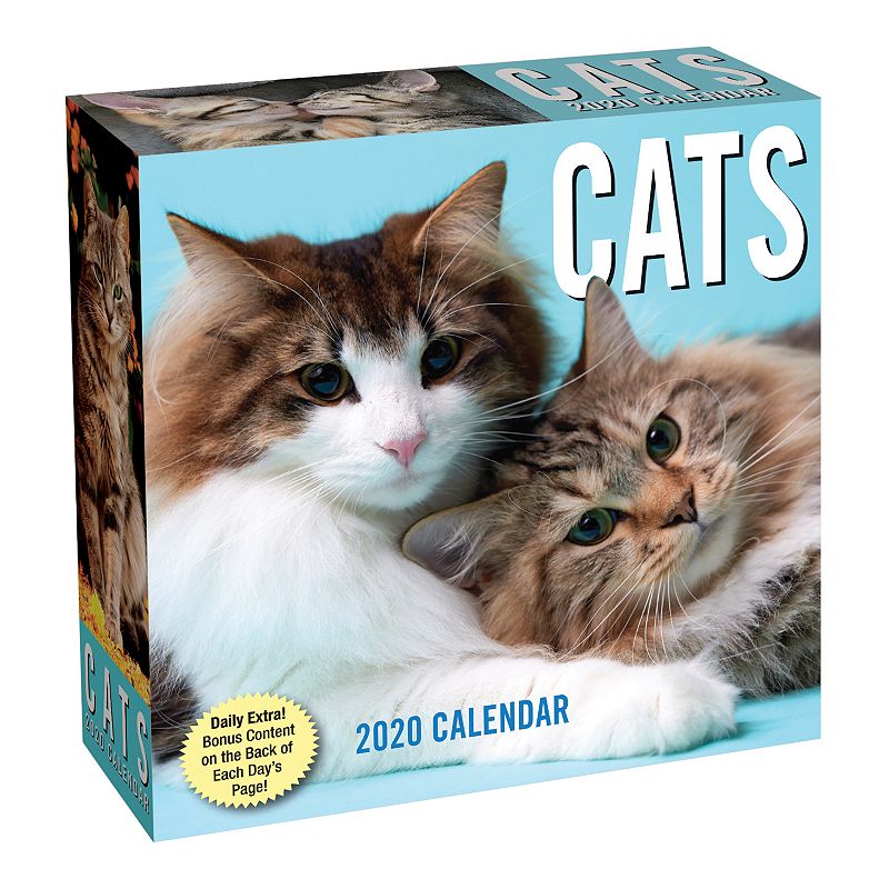 Andrews & McMeel Cats 2020 Day-to-Day Calendar, CALENDARS