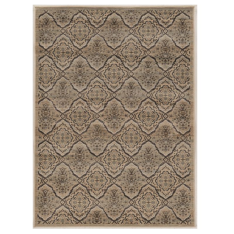 Linon Jewel Vintage Rug, Brown, 8X10 Ft