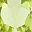 Peridot