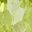 Peridot