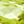 Peridot