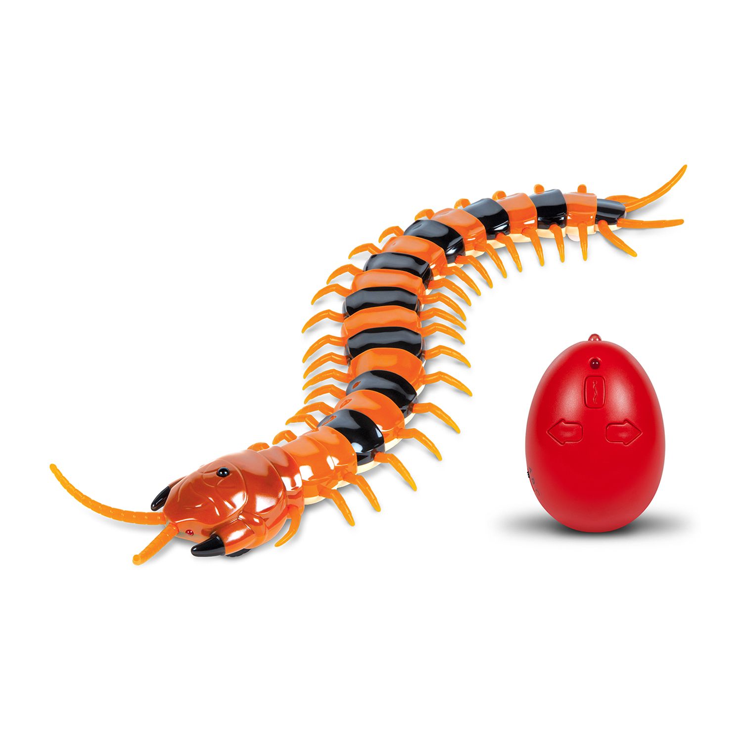 centipede toy