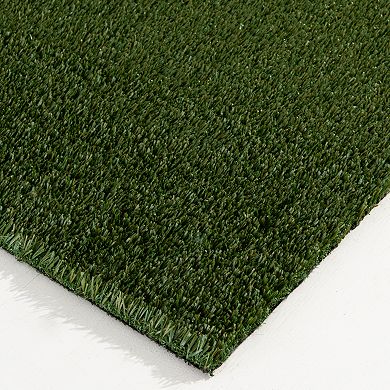 Loomaknoti Premium Artificial Grass Rug