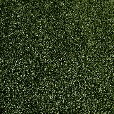 Loomaknoti Premium Artificial Grass Rug