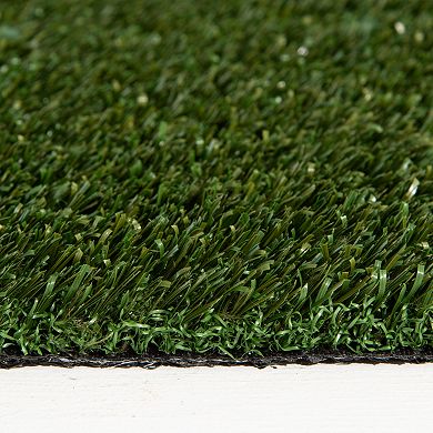 Loomaknoti Premium Artificial Grass Rug