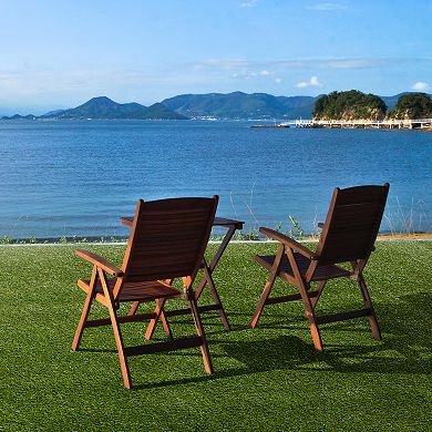 Loomaknoti Premium Artificial Grass Rug