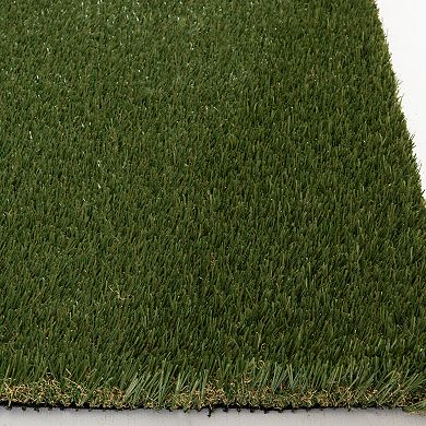 Loomaknoti Ultra-High Quality Artificial Grass Rug