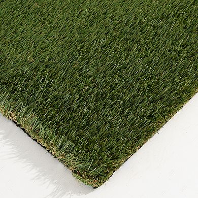 Loomaknoti Ultra-High Quality Artificial Grass Rug