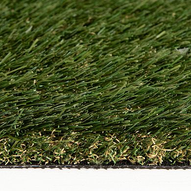 Loomaknoti Ultra-High Quality Artificial Grass Rug