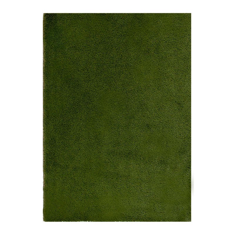 Loomaknoti Premiere Artificial Grass Rug, Green, 5X7 Ft