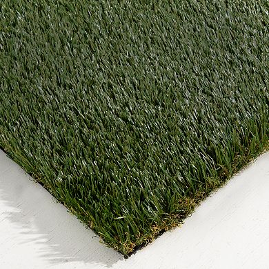 Loomaknoti Premiere Artificial Grass Rug