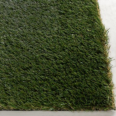 Loomaknoti Premiere Artificial Grass Rug