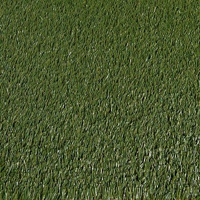 Loomaknoti Premiere Artificial Grass Rug
