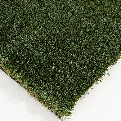 Loomaknoti Ultimate Artificial Grass Rug