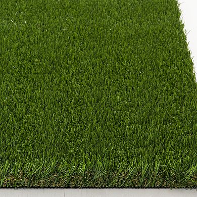 Loomaknoti Top Of The Line Artificial Grass Rug
