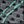 Gray Green