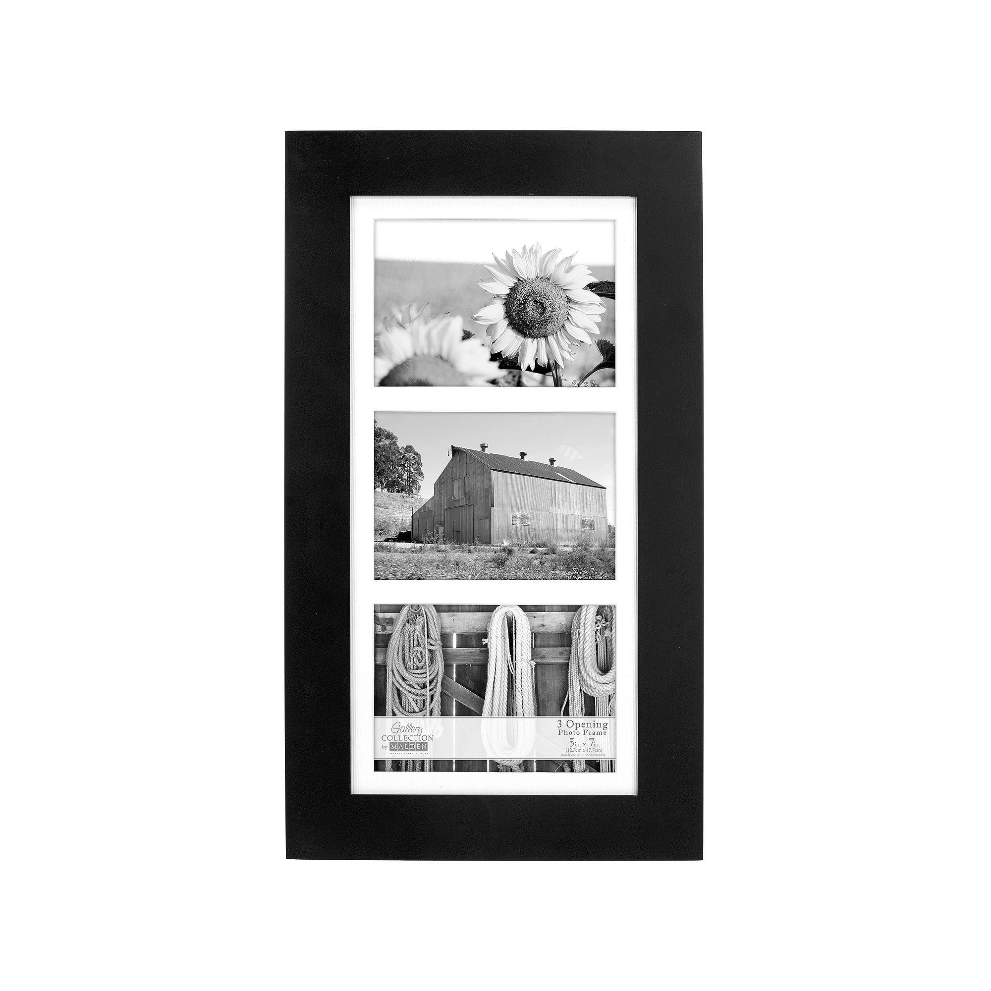 Malden 3-opening 5x 7 Black Wall Frame