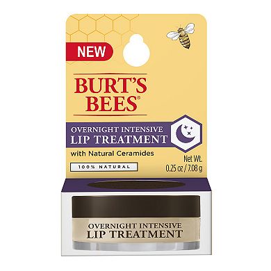 Burt's Bees Overnight Intensive Lip Treatment