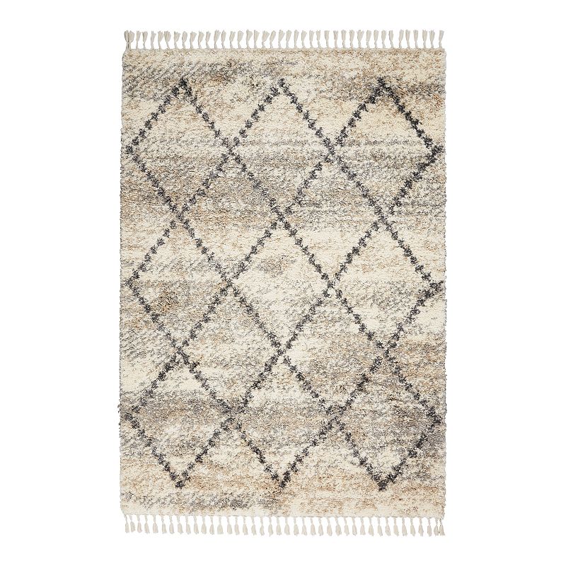 Nourison Scandinavian Poplar Shag Rug, Multicolor, 5X8 Ft