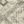 Ivory Gray
