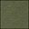 Heather Fern Green