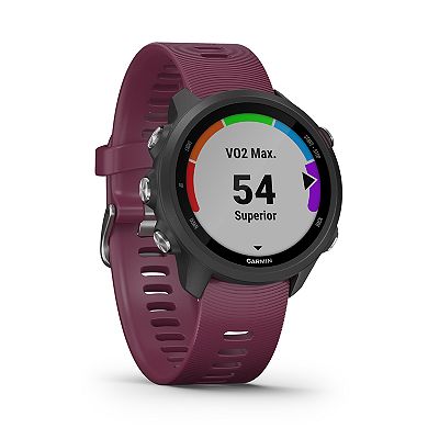 Garmin Forerunner 245 GPS Running Smartwatch