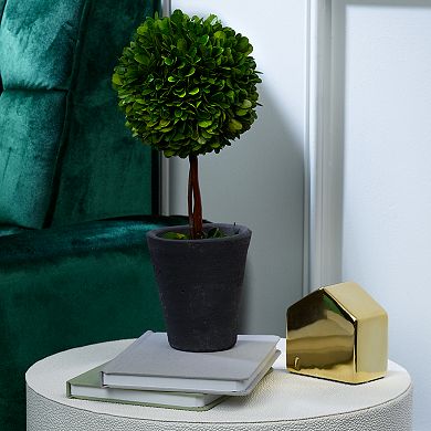 Scott Living Luxe Natural Preserved Boxwood Topiary