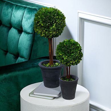 Scott Living Luxe Natural Preserved Boxwood Topiary