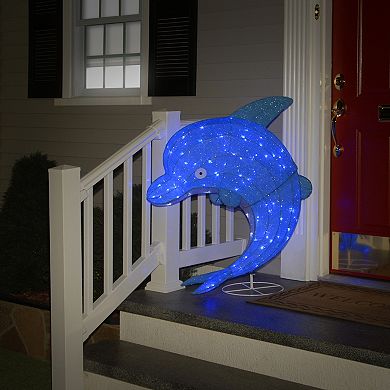 National Tree Company 40" Dolphin LED Indoor / Outdoor Floor Decor