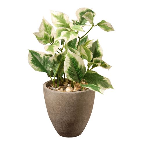 National Tree Company Artificial Pothos Plant