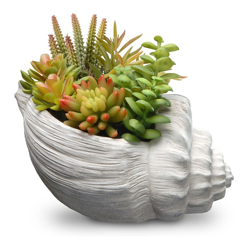 National Tree Company Artificial Succulent Seashell Plant, Green