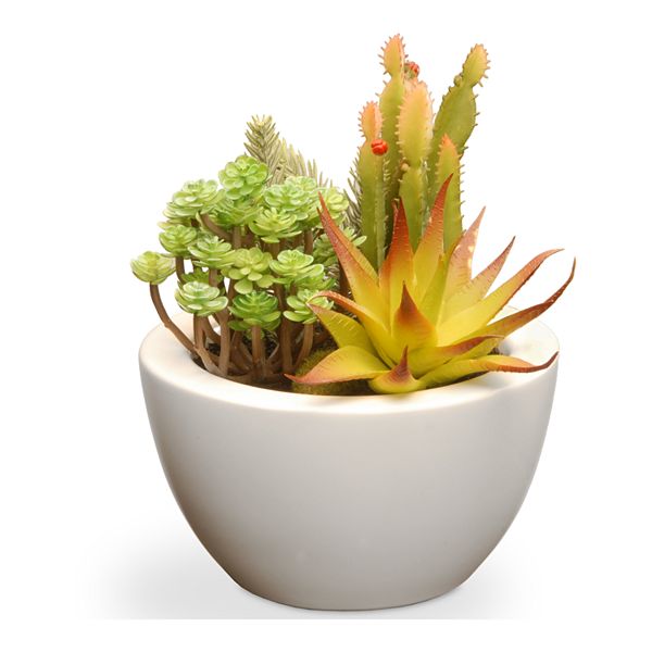 National Tree Company Bright Artificial Succulent Plant