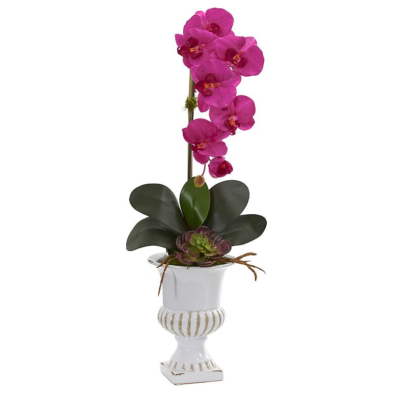 nearly natural Phalaenopsis Orchid and Succulent Artificial Arrangement in 