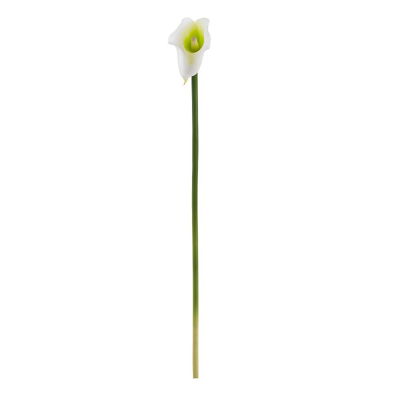 nearly natural 19.5 In. Calla Lily Artificial Flower (Set of 12), Beig/Gree