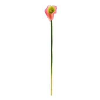 nearly natural 19.5 in Calla Lily Artificial Flower (Set of 12)