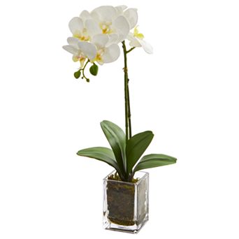 nearly natural 24 in Orchid Phalaenopsis Artificial Arrangement in Vase