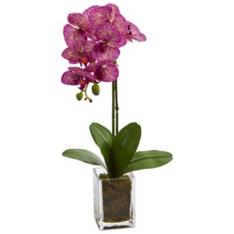 nearly natural 24 in Orchid Phalaenopsis Artificial Arrangement in Vase