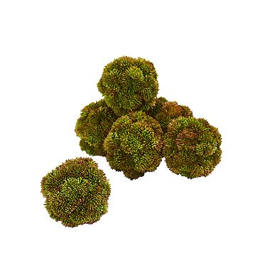 nearly natural 4 In. Sedum Succulent Artificial Spheres (Set of 6)