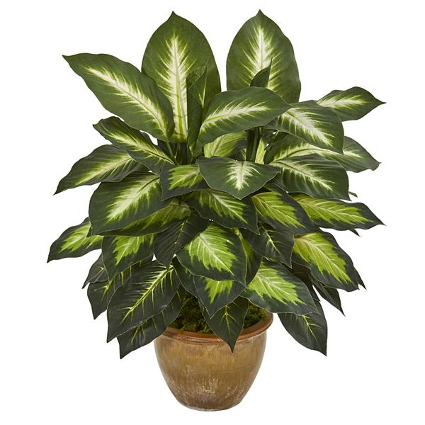 nearly natural Dieffenbachia Artificial Plant in Ceramic Planter