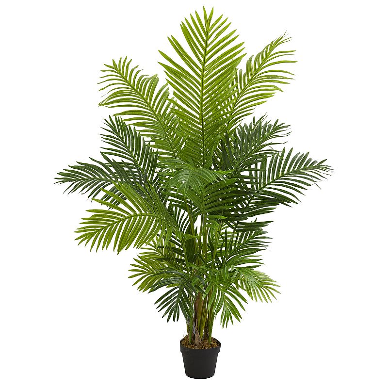 nearly natural 5 Ft. Hawaii Palm Artificial Tree, Green