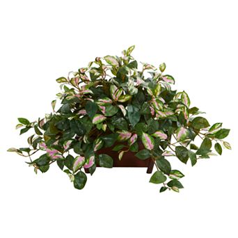 nearly natural Hoya Artificial Plant in Planter