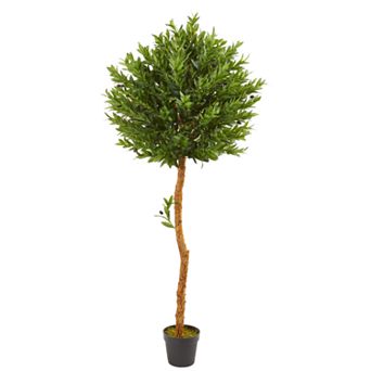 nearly natural 5.5-Ft. Olive Topiary Artificial Tree UV Resistant (Indoor/Outdoor)