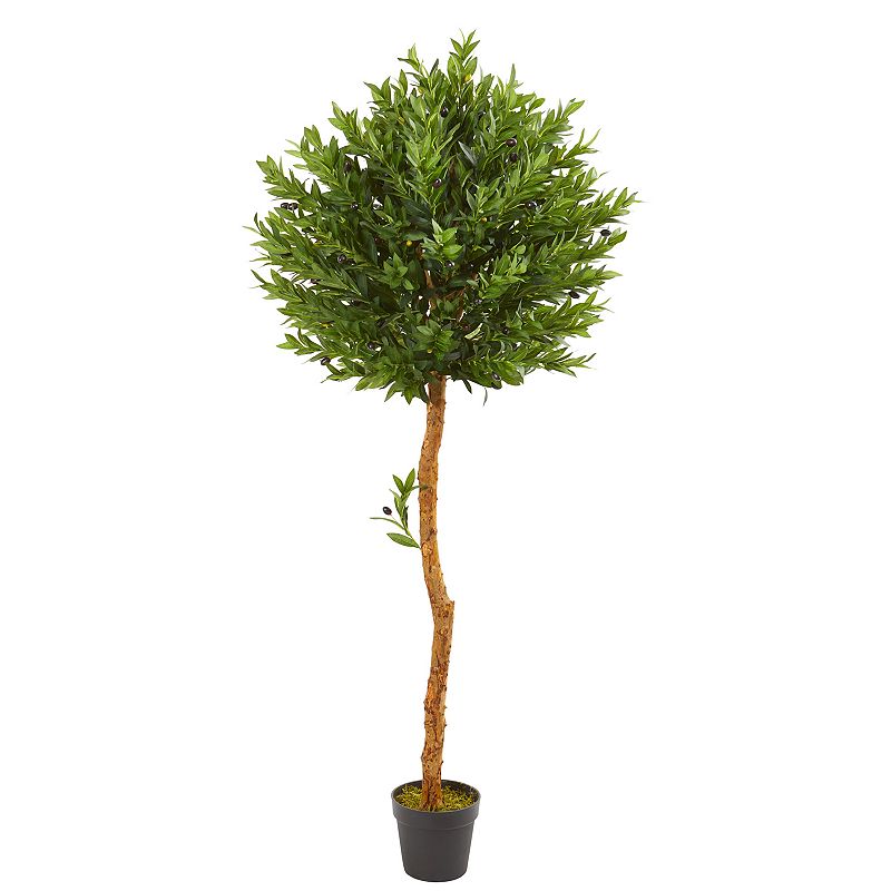 nearly natural 5.5-Ft. Olive Topiary Artificial Tree UV Resistant (Indoor/O