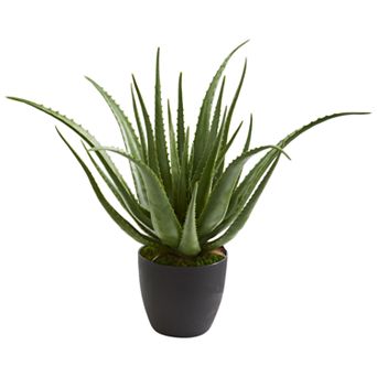 nearly natural Aloe Artificial Plant
