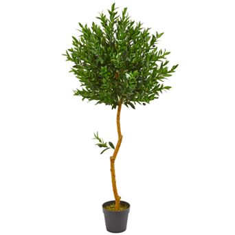 nearly natural 58 in Olive Topiary Artificial Tree UV Resistant (Indoor/Outdoor)