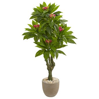 nearly natural 5-Ft. Plumeria Artificial Tree in Decorative Planter UV Resistant (Indoor/Outdoor)
