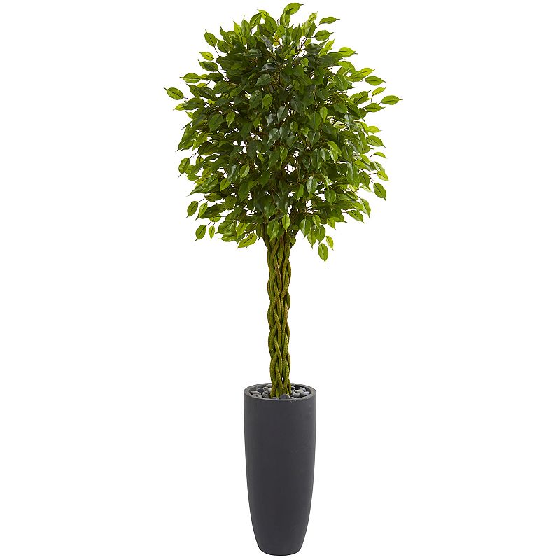 nearly natural 6.5 Ft. Braided Ficus Artificial Tree in Cylinder Planter UV