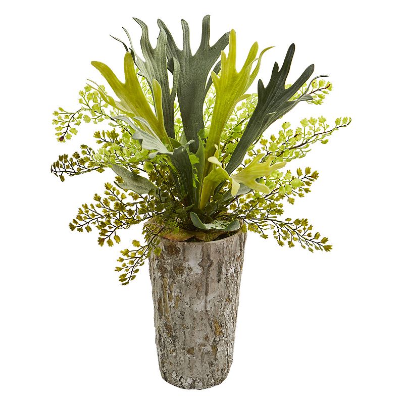 nearly natural Staghorn and Maiden Hair Fern Artificial Plant in Weathered 